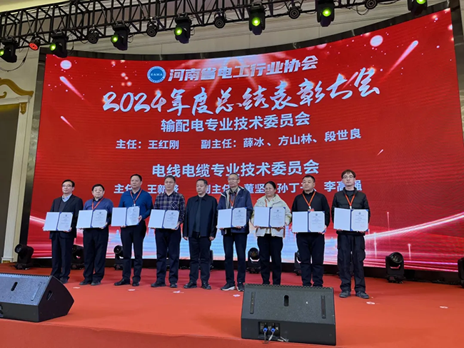 索凌電氣榮獲河南省電工行業(yè)雙優(yōu)稱號， 持續(xù)助力電力行業(yè)發(fā)展